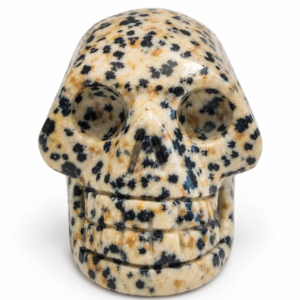 Crâne en jaspe dalmatien — sculpture en pierre naturelle
